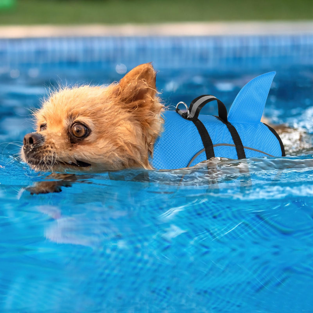 Uso en playa, lago o piscina con chaleco para perros pequeños Queenmore