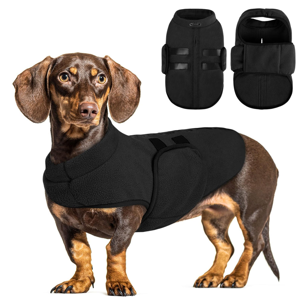 Queenmore XL sudadera perro frente: ajuste cómodo y cálido
