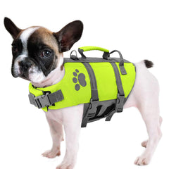Queenmore XS chaleco salvavidas para perro, frontal, flotación estable para nadar