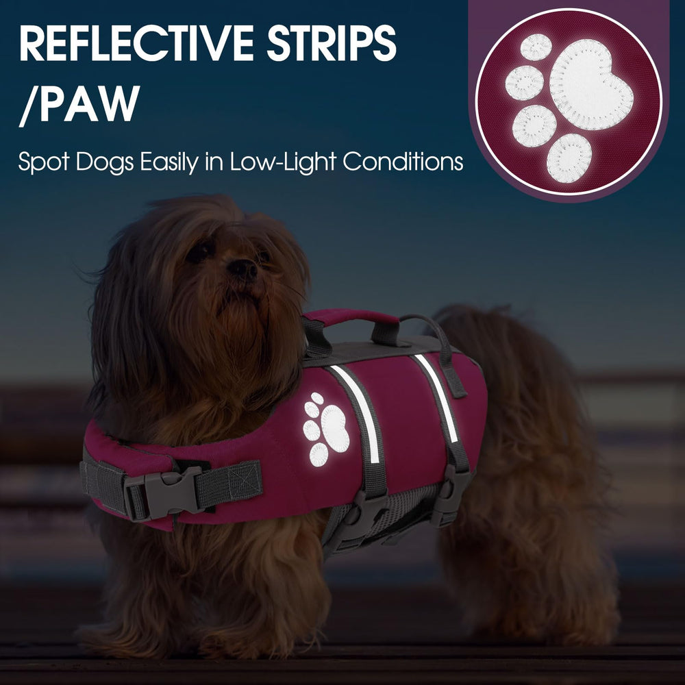 Queenmore XS Chaleco Salvavidas para Perro, ajuste cómodo con correas ajustables.