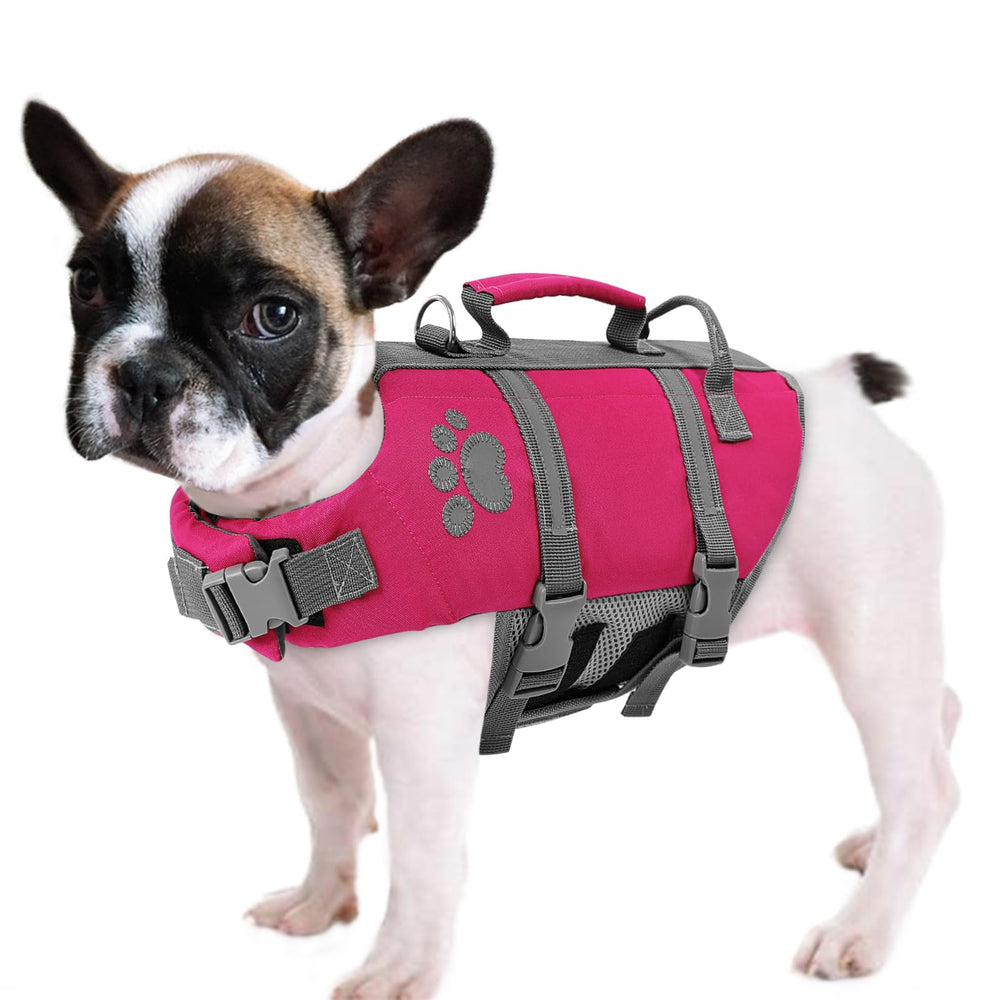 Queenmore XS Chaleco Salvavidas para Perro, frontal visible y flotante.