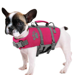 Queenmore XS Chaleco Salvavidas para Perro, frontal visible y flotante.