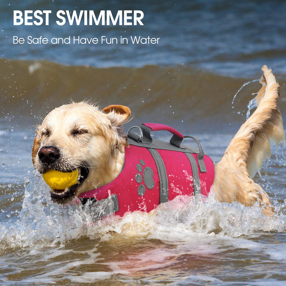 Queenmore XS Chaleco Salvavidas para Perro, ideal para actividades náuticas.