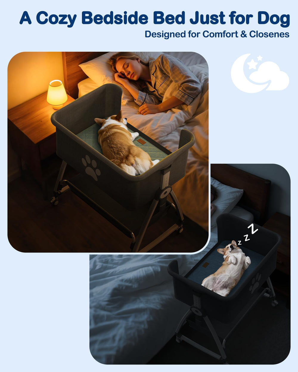 Cama QUINTHOLAR, vista lateral, diseño seguro para perros y gatos.