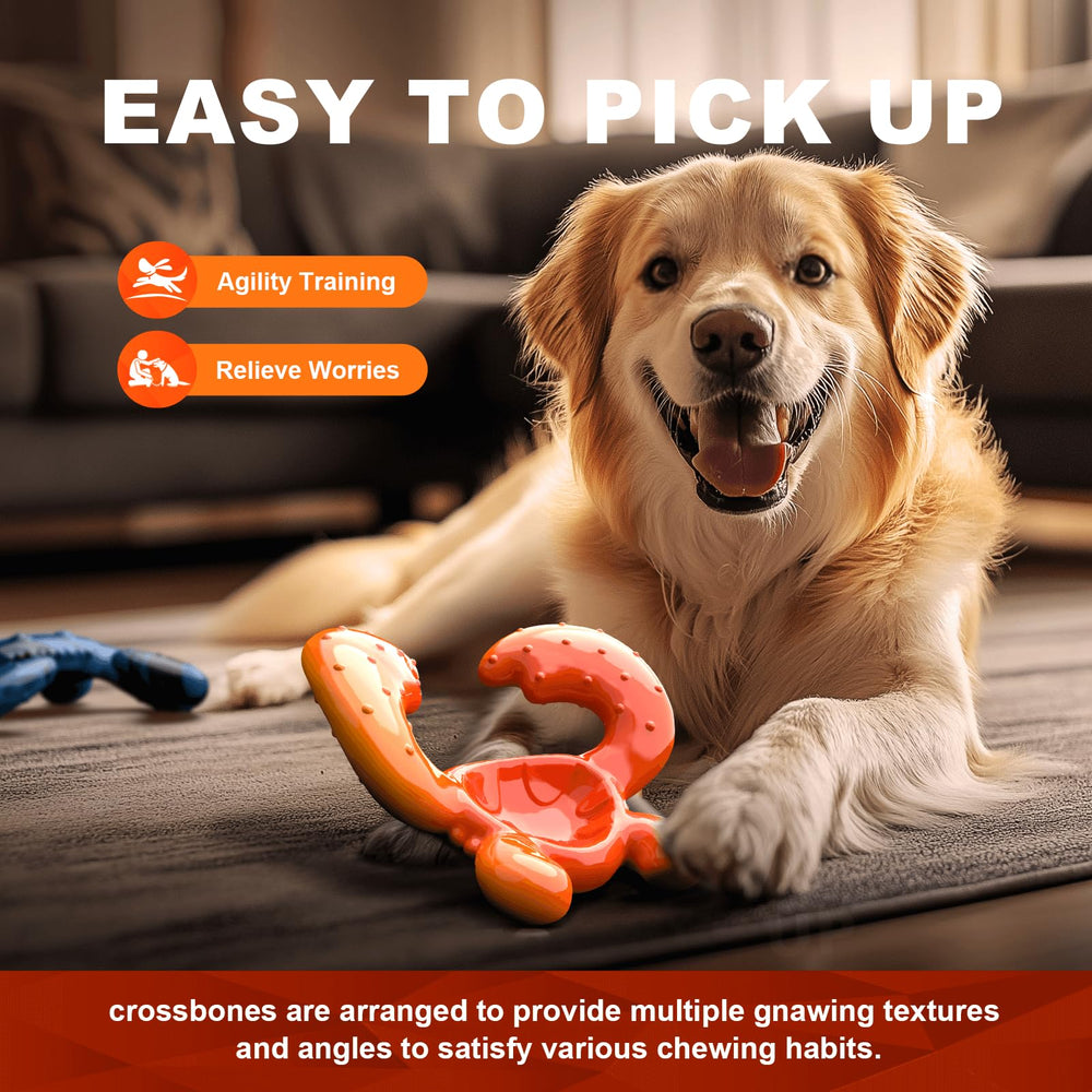 Quizvi Regalo Ideal para Perros Grandes, regalo duradero para masticadores.
