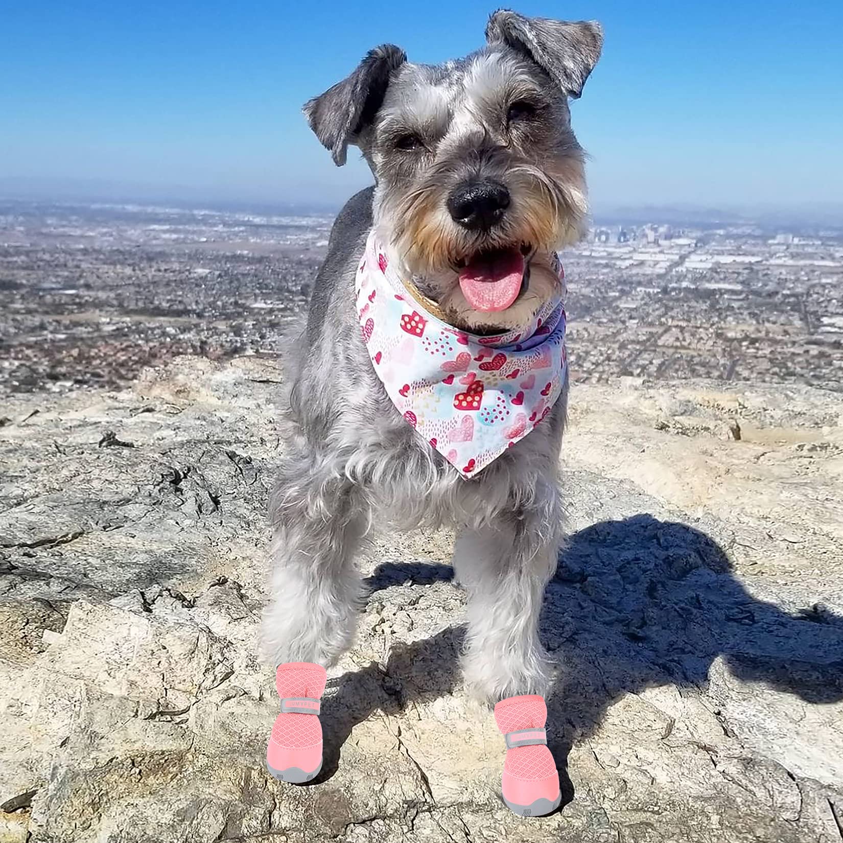QUMY botas para perro pequeño rosa usadas en exterior, ideales para caminatas y senderos