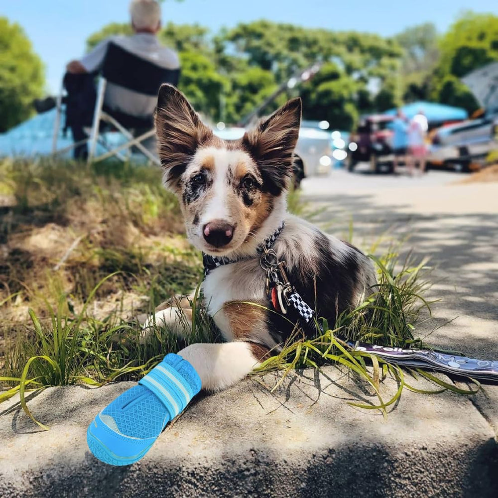 Uso diario de verano con comodidad y protección de QUMY