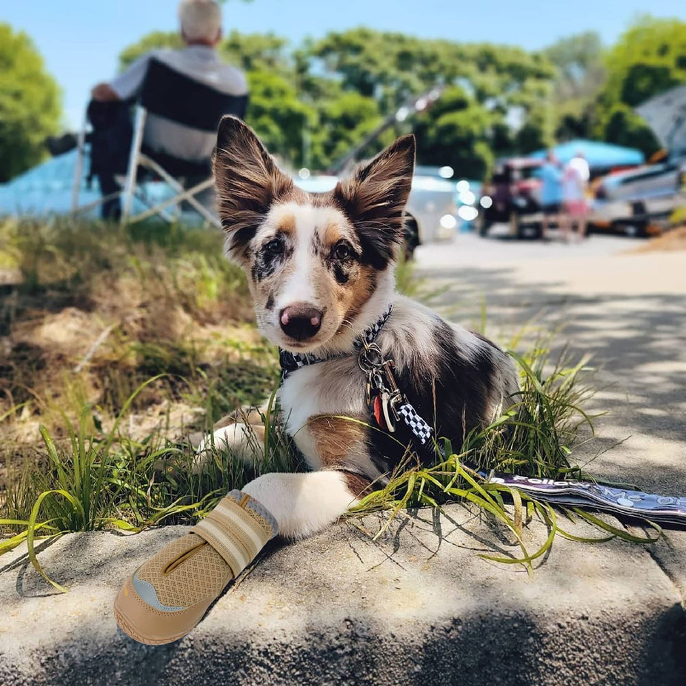 Protección de pavimento caliente y objetos en botines QUMY para perros.