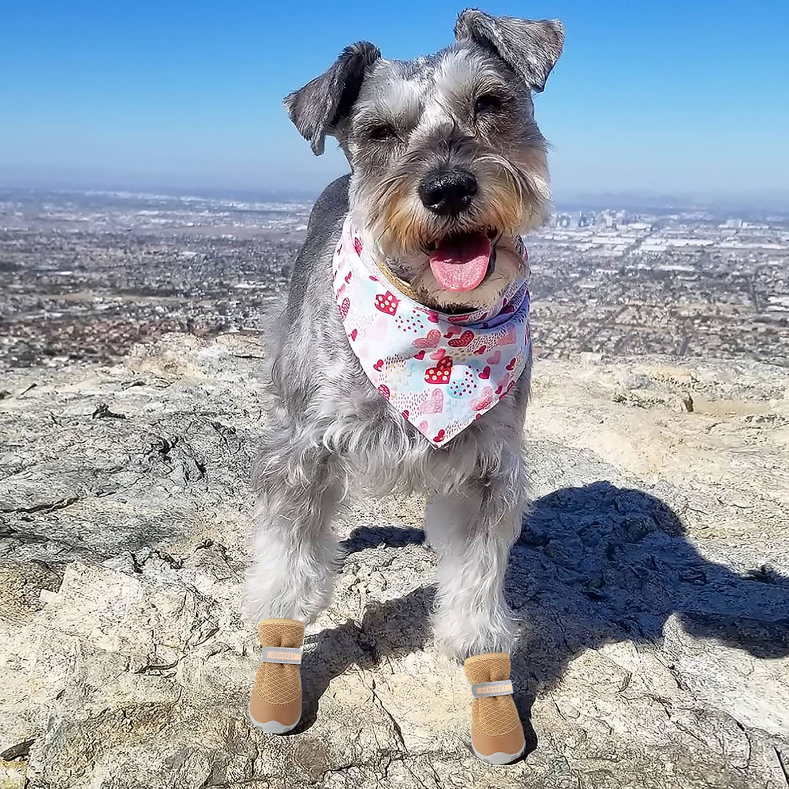 Zapatos para perros QUMY, uso exterior, protección en superficies ásperas.