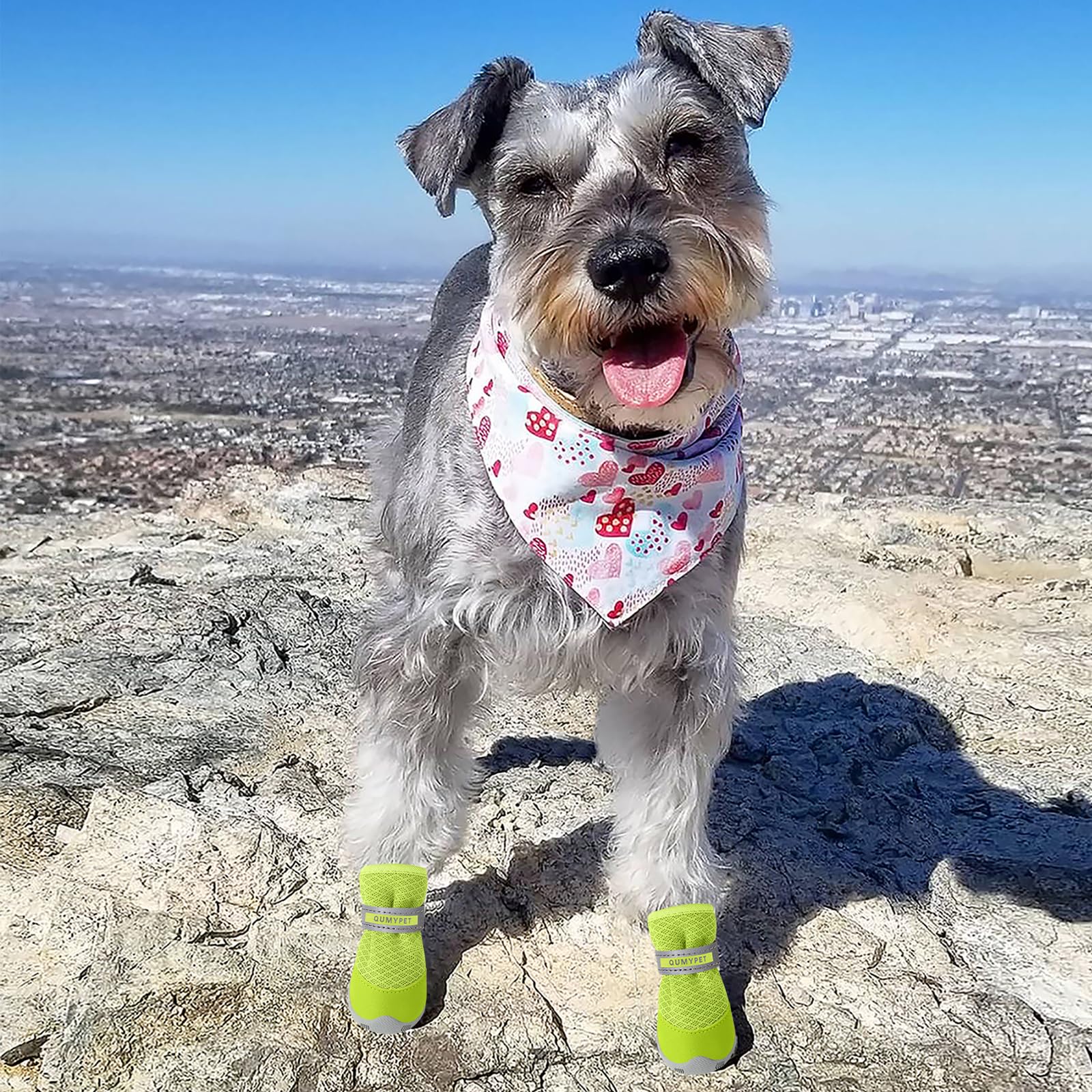 Zapatillas QUMY para perros pequeños ideales para uso exterior durante caminatas y carreras
