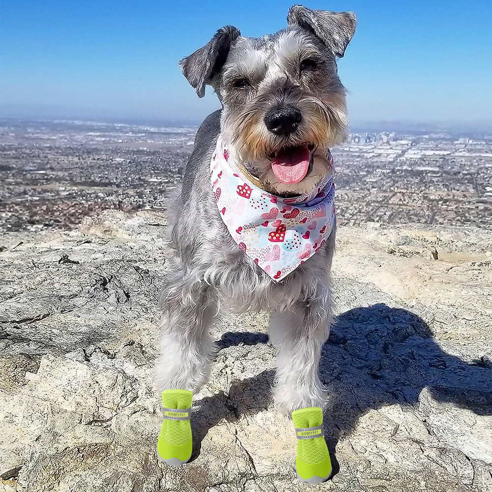 Zapatillas QUMY para perros pequeños ideales para uso exterior durante caminatas y carreras