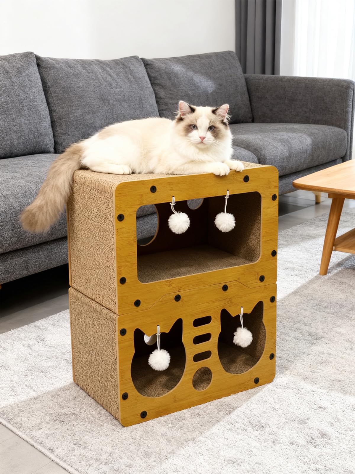 QUTUNI dos gatos usan la casa de cartón simultáneamente.