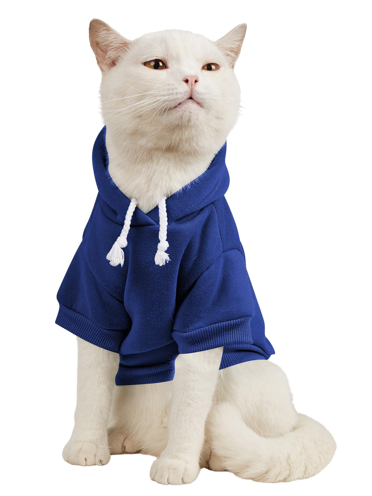 QWINEE suéter capucha para perro, azul real, talla X-Small, ajuste cómodo.