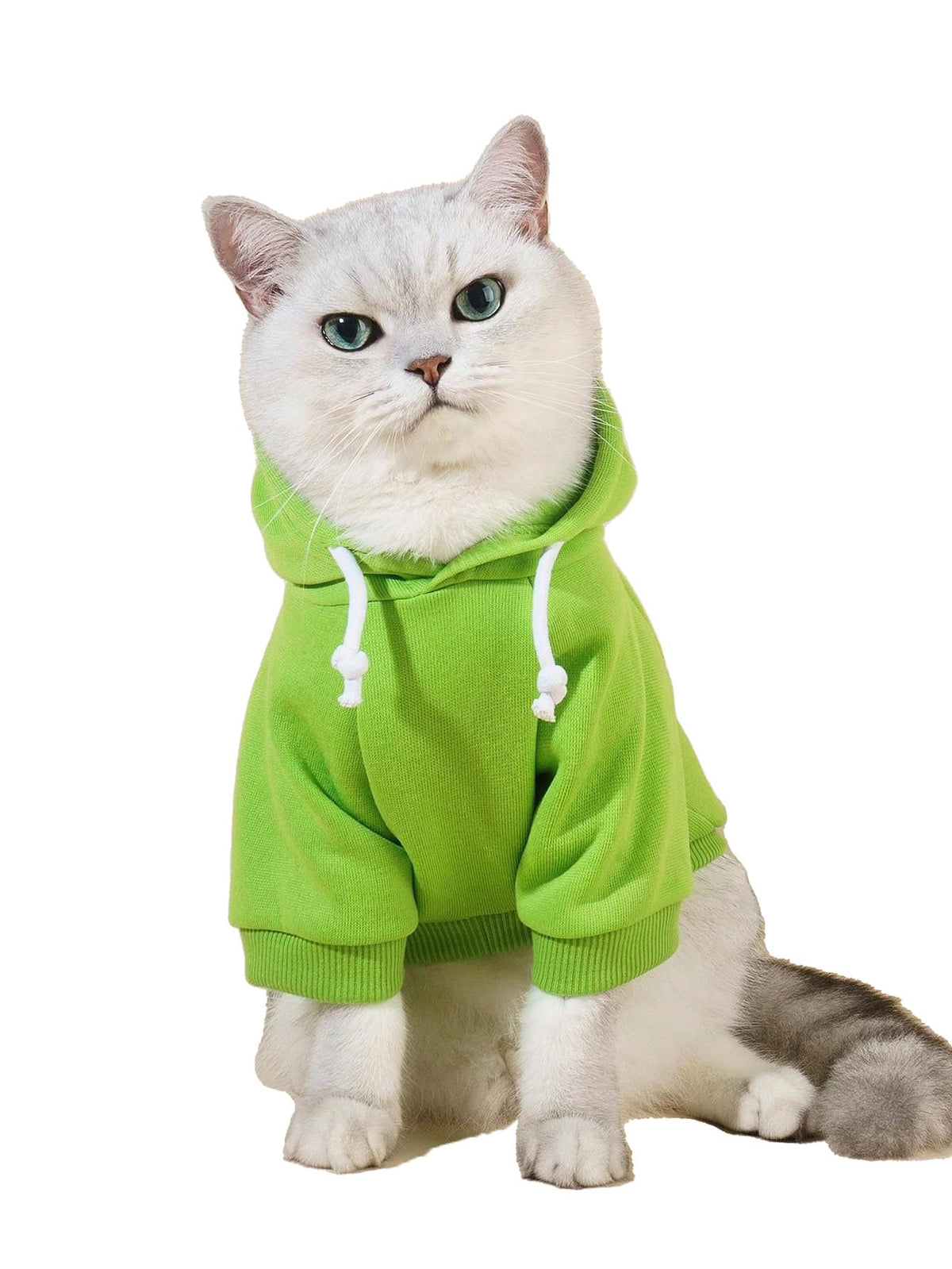 QWINEE Basic sudadera para perro verde, vista frontal, tejido cálido y cómodo.