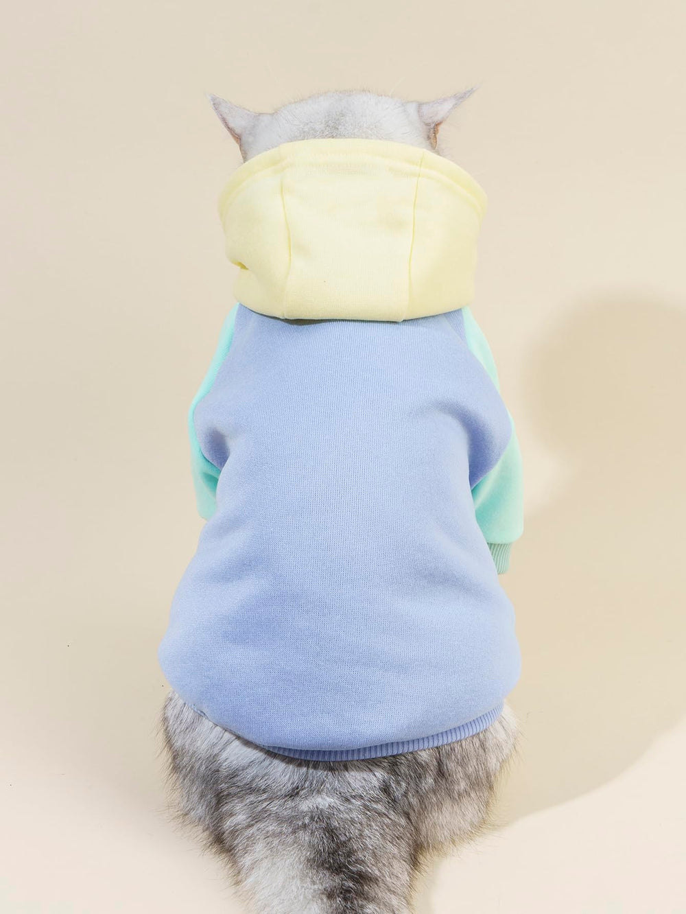 QWINEE Basic vista dorsal de la sudadera para perro, diseño cómodo