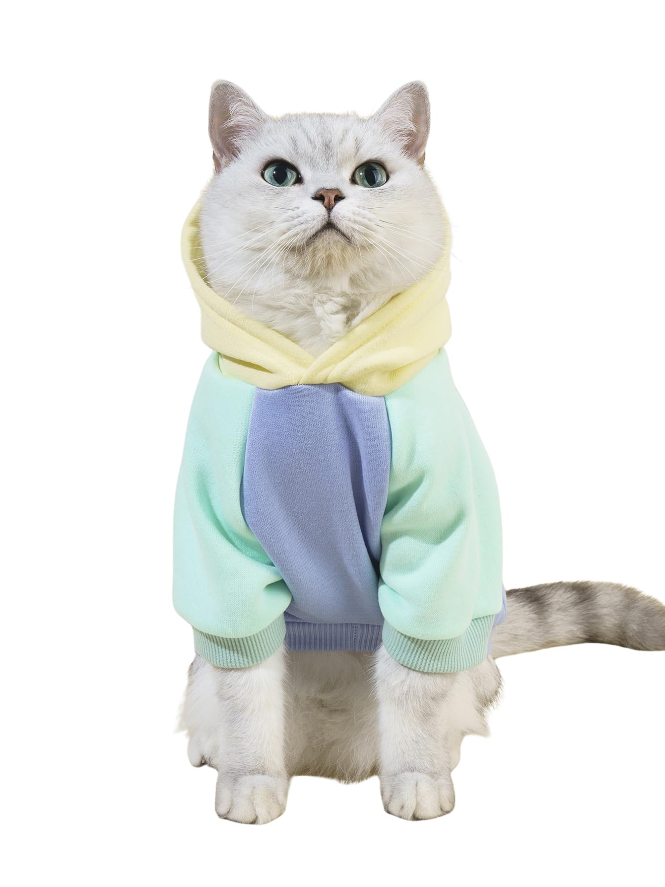 QWINEE Basic sudadera frontal para perro, fácil de poner y cálida
