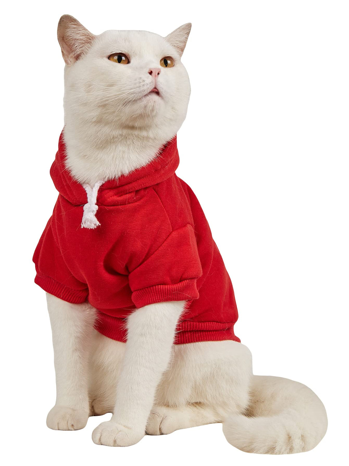 QWINEE Basic: sudadera con capucha para perros pequeños, vista frontal, calor suave para paseos