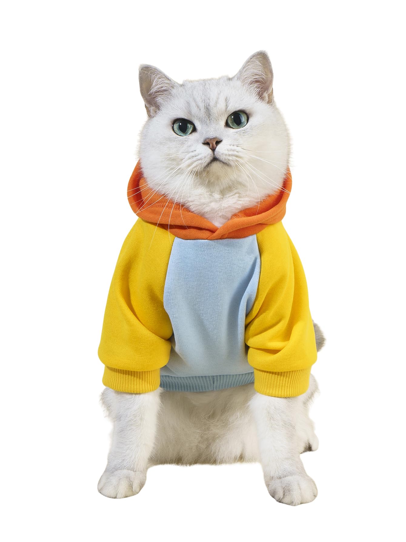 QWINEE Básico sudadera con capucha para perros, ideal para paseos en clima frío.