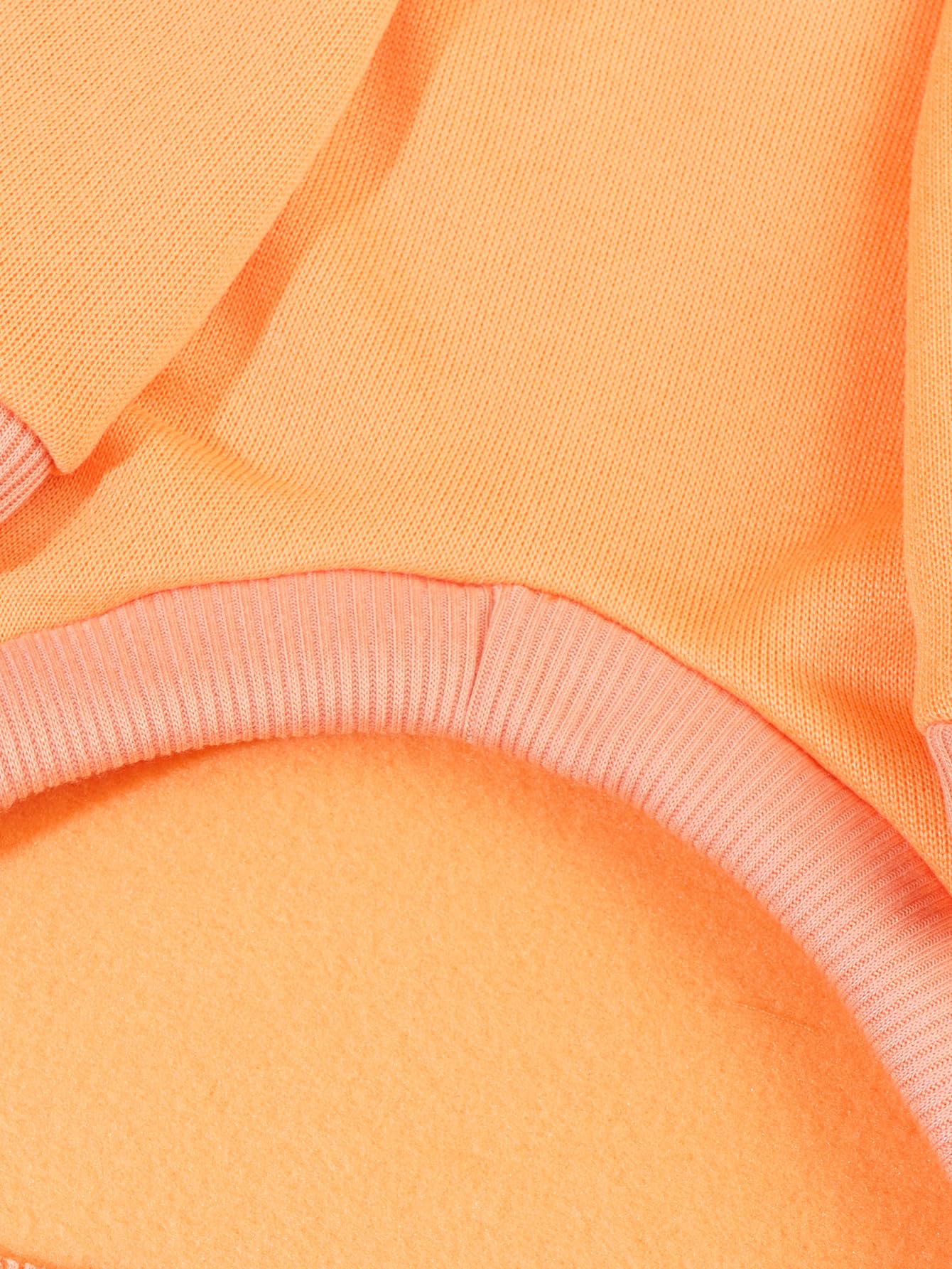 QWINEE Básico: diseño adorable para razas pequeñas y medianas