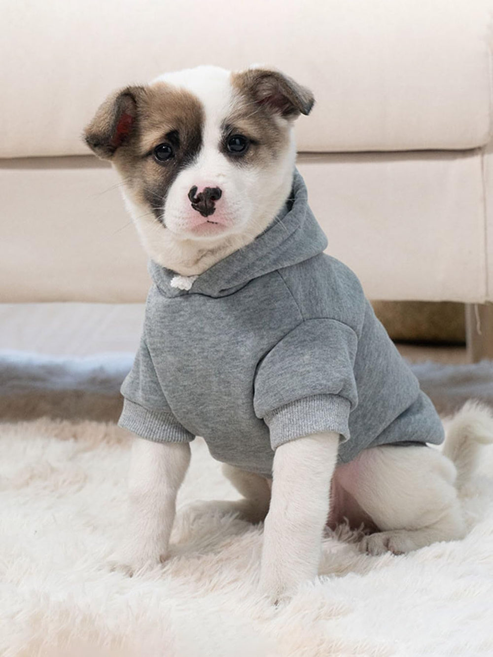 Ropa para mascotas QWINEE para uso diario y juego ligero