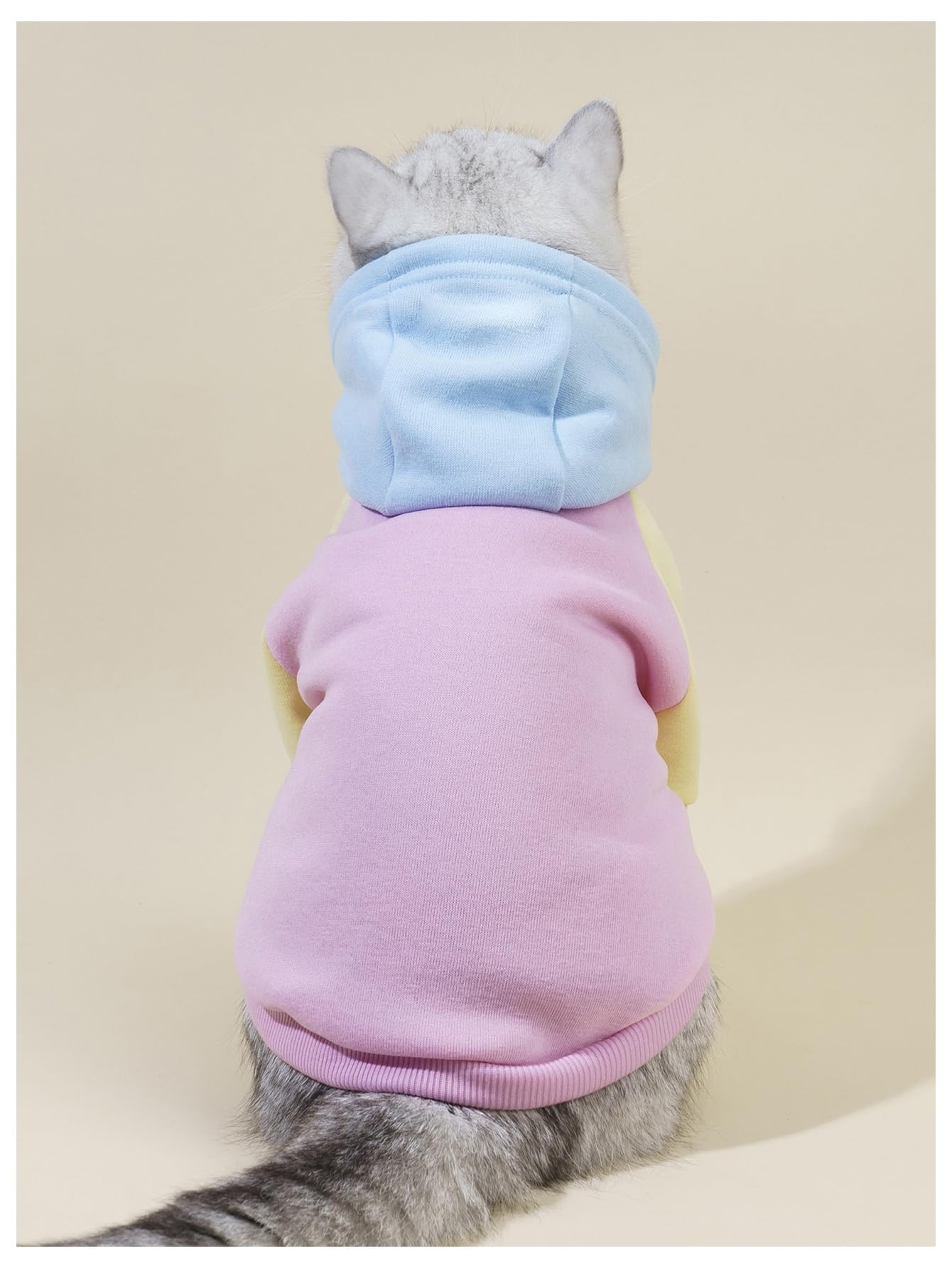 QWINEE Basic Sudadera con Capucha para Perro, detalle de capucha, protección contra el frío.