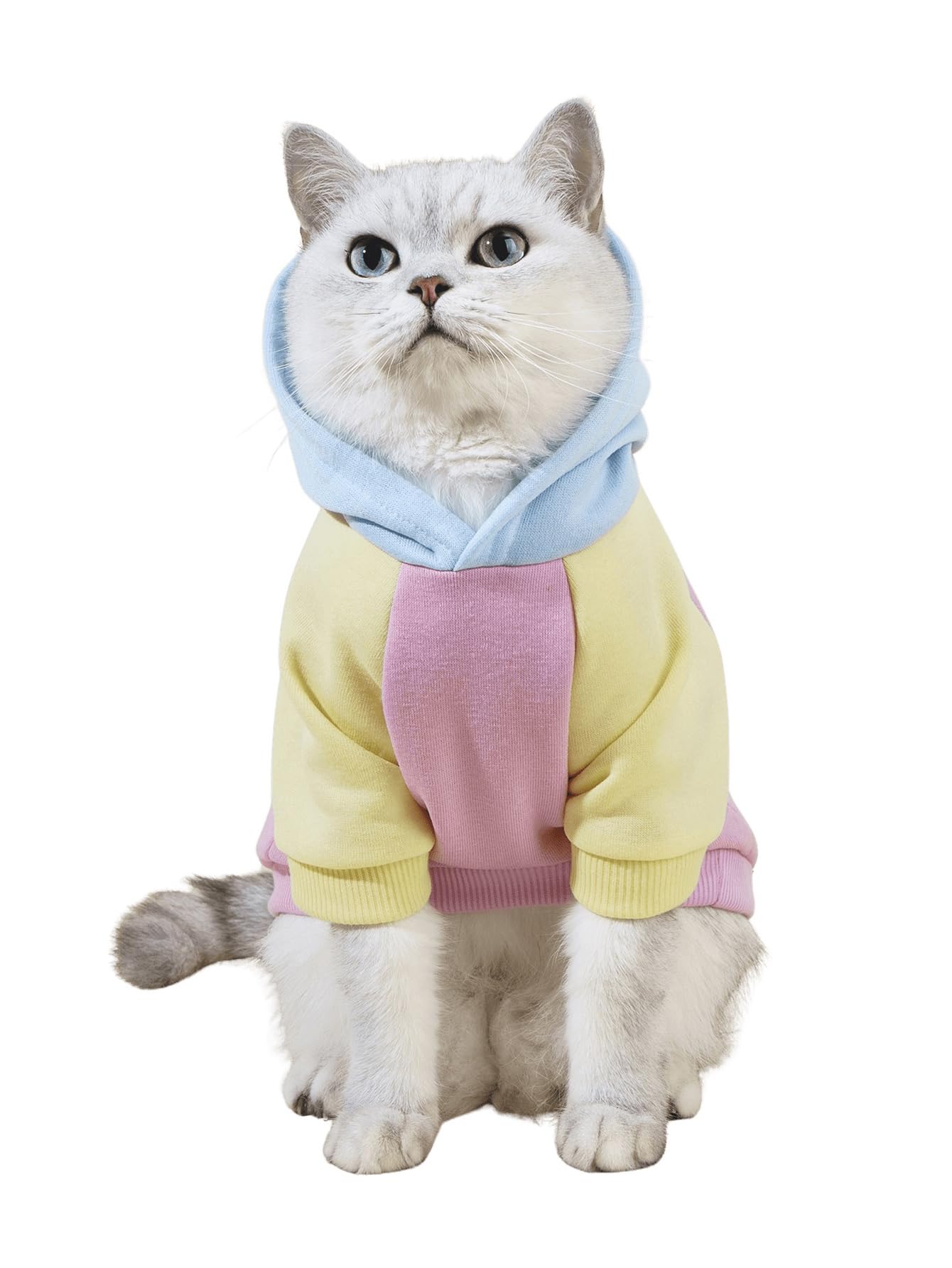 QWINEE Basic Sudadera con Capucha para Perro, vista frontal, abrigo cómodo para paseos fríos.