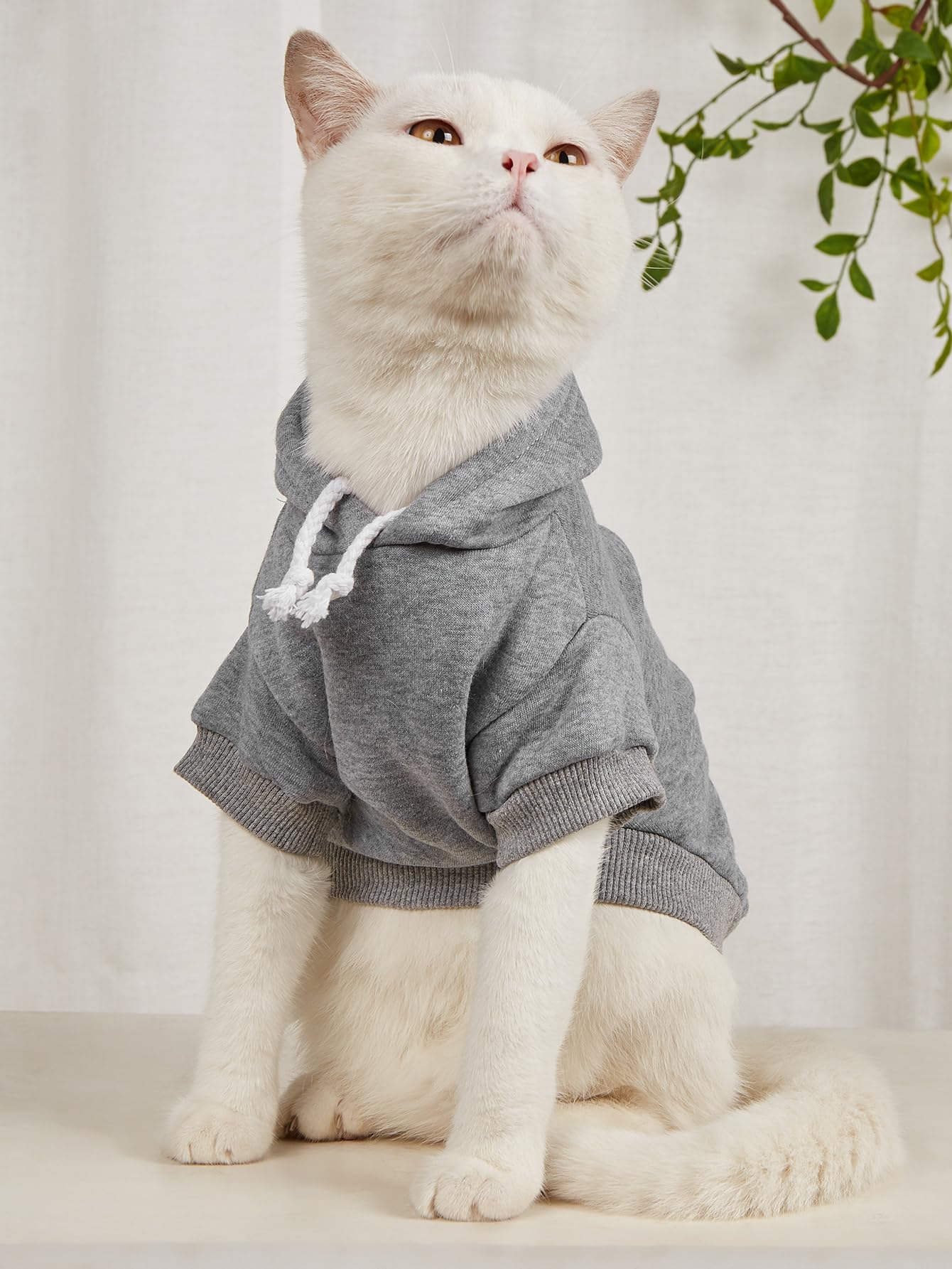 Sudadera con capucha de QWINEE, detalle en pecho para calidez adicional