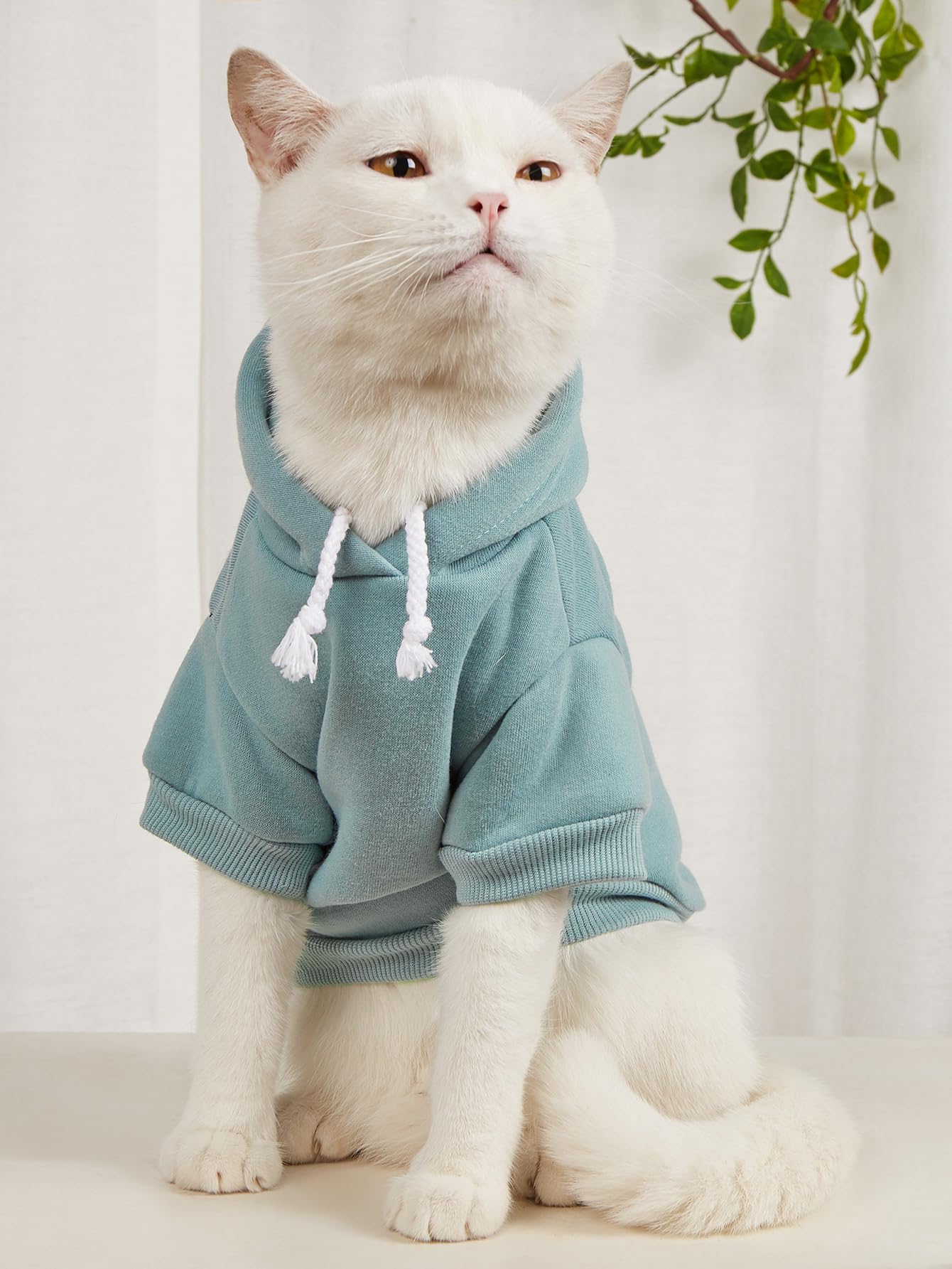 QWINEE sudadera con capucha para perros, fácil de poner y quitar.