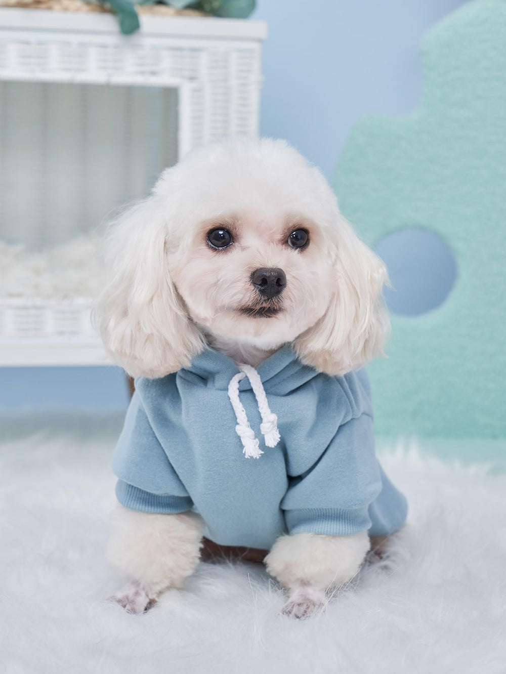 QWINEE sudadera con capucha, diseño que transmite vitalidad y confort.
