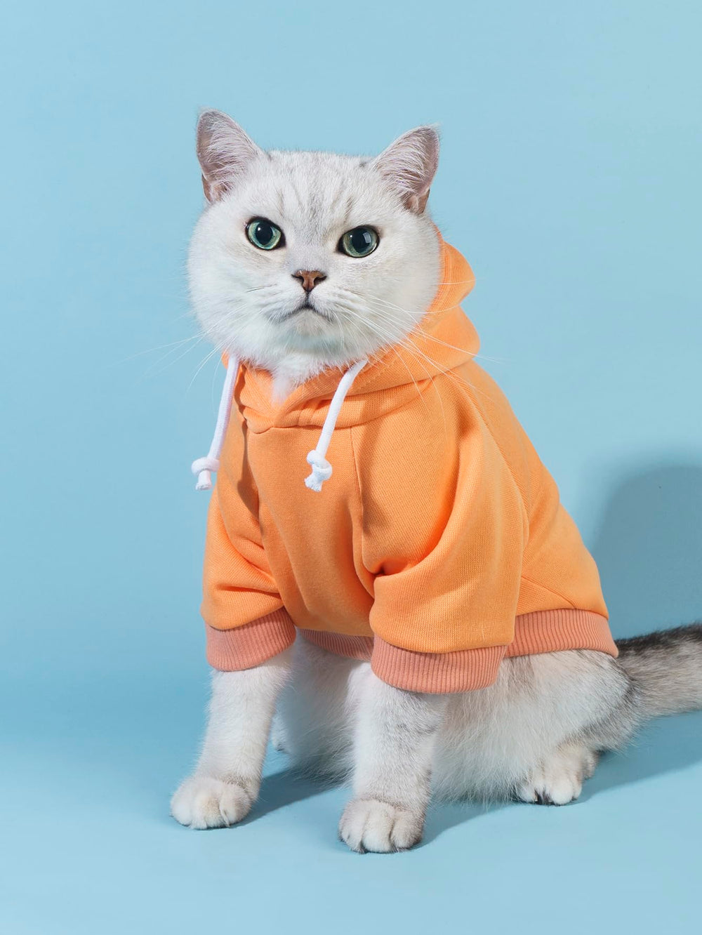 Sudadera con capucha QWINEE para perro, vista lateral, diseño práctico.
