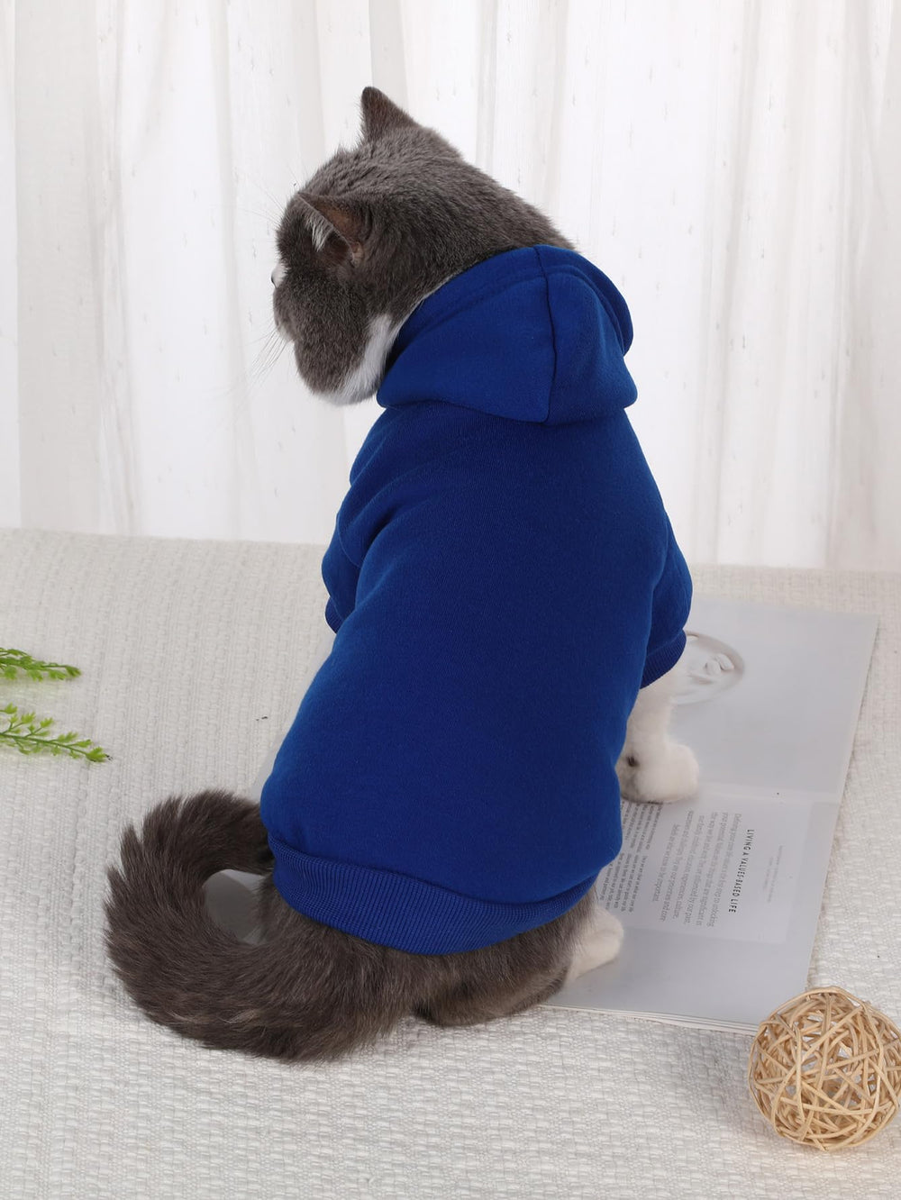 QWINEE Basico sudadera-capucha para perro, diseño moderno y práctico