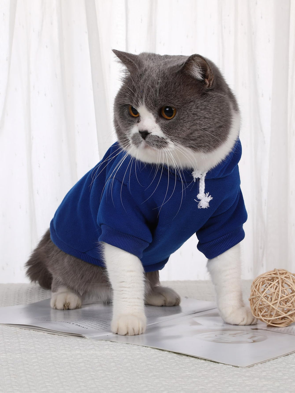 QWINEE detalle de capucha en sudadera para perro azul royal