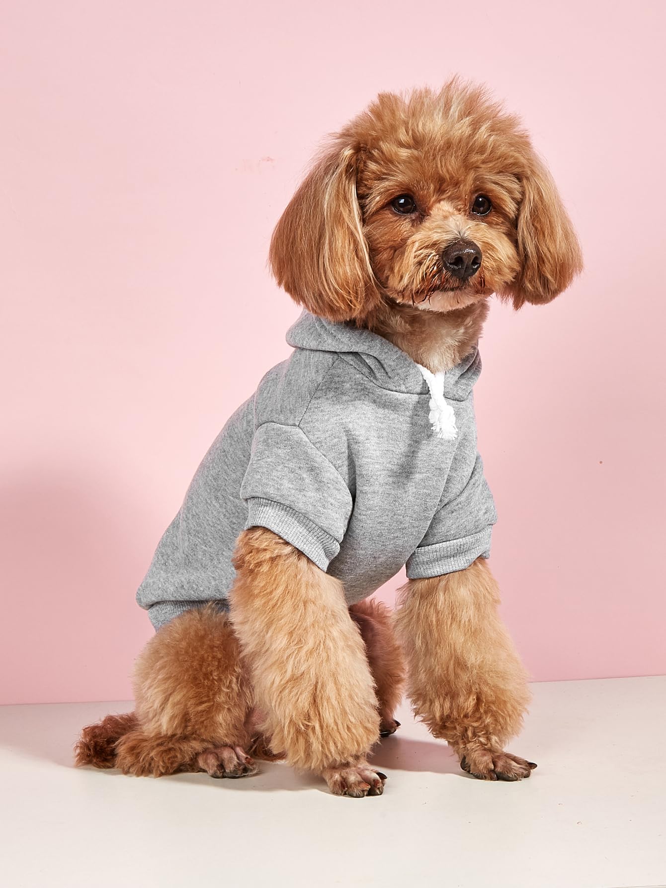 QWINEE sudadera básica para perro textura tejido suave, sensación agradable al tacto.