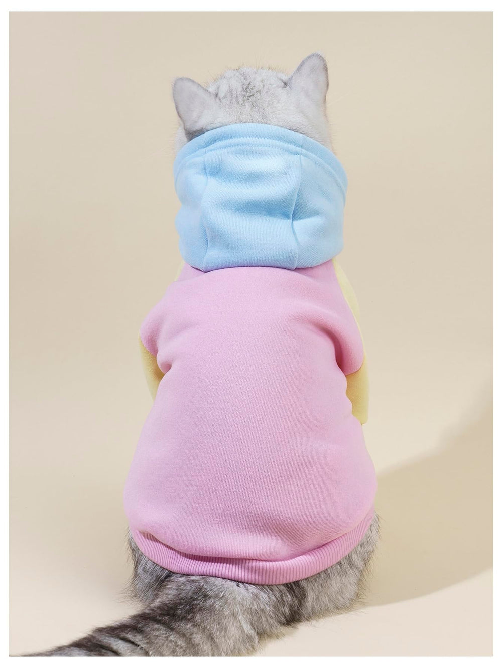 QWINEE hoodie para mascotas, capucha visible, diseño moderno para salidas diarias.