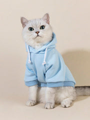 QWINEE sudadera para perros y gatos, azul claro, talla pequeña, diseño cómodo para salidas diarias