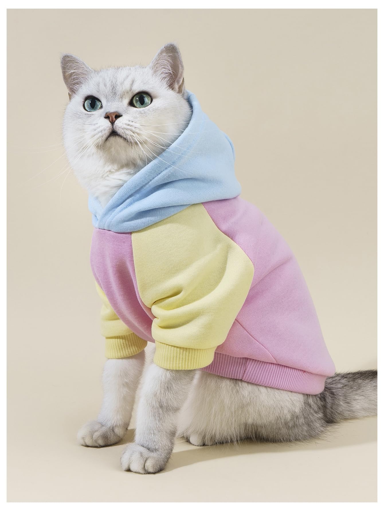 QWINEE Basic, sudadera para perros, vista trasera, detalle de capucha y estilo.