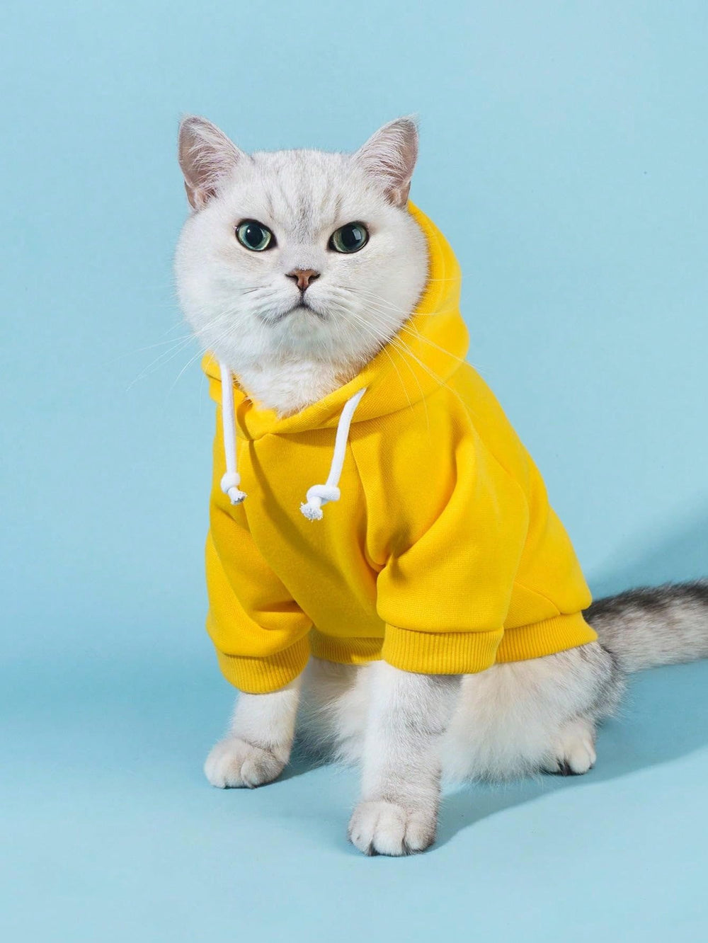 QWINEE sudadera para perro con capucha, diseño moderno y práctico.