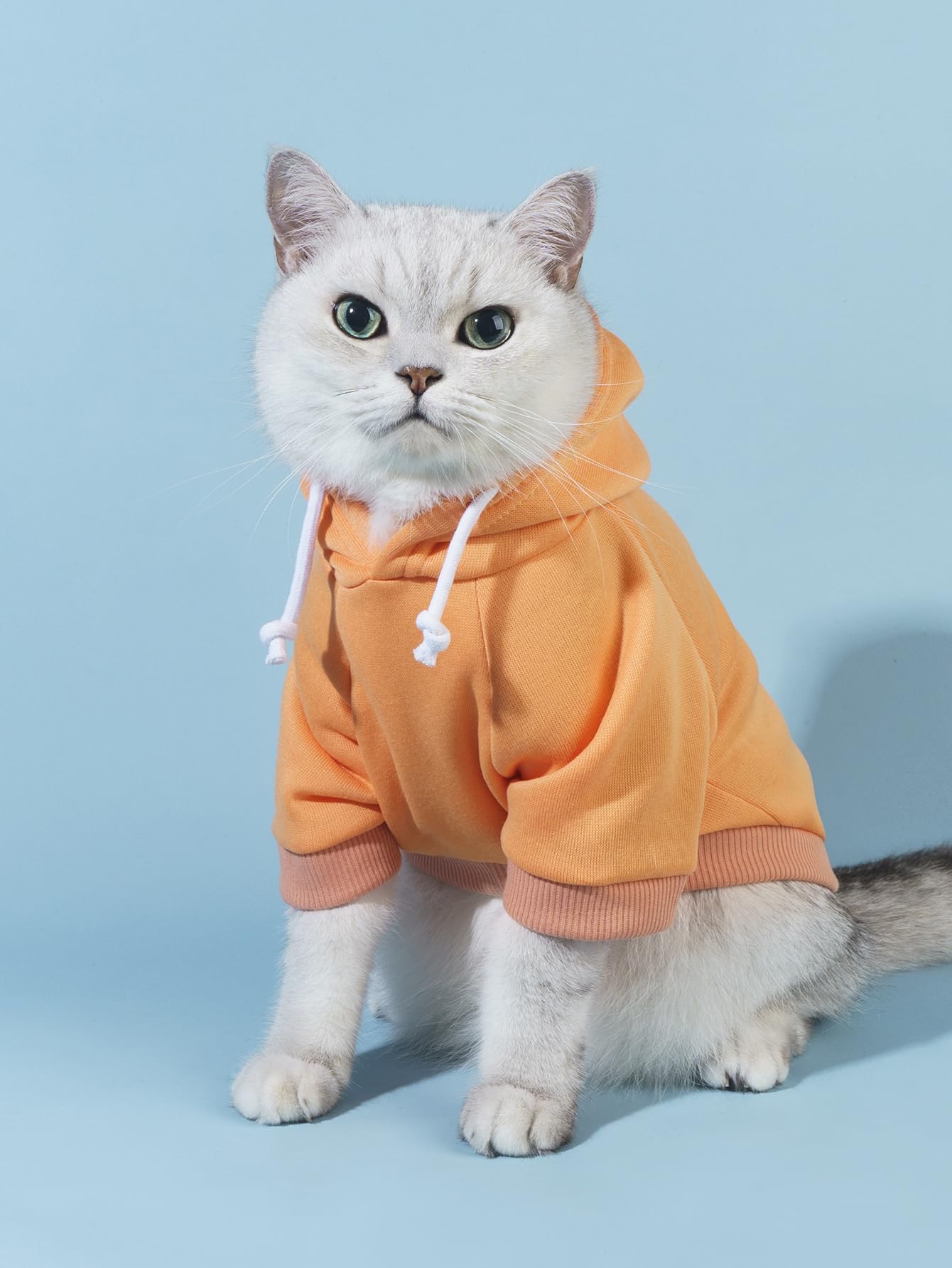 QWINEE sudadera básica para perros, dorso, capucha con estilo