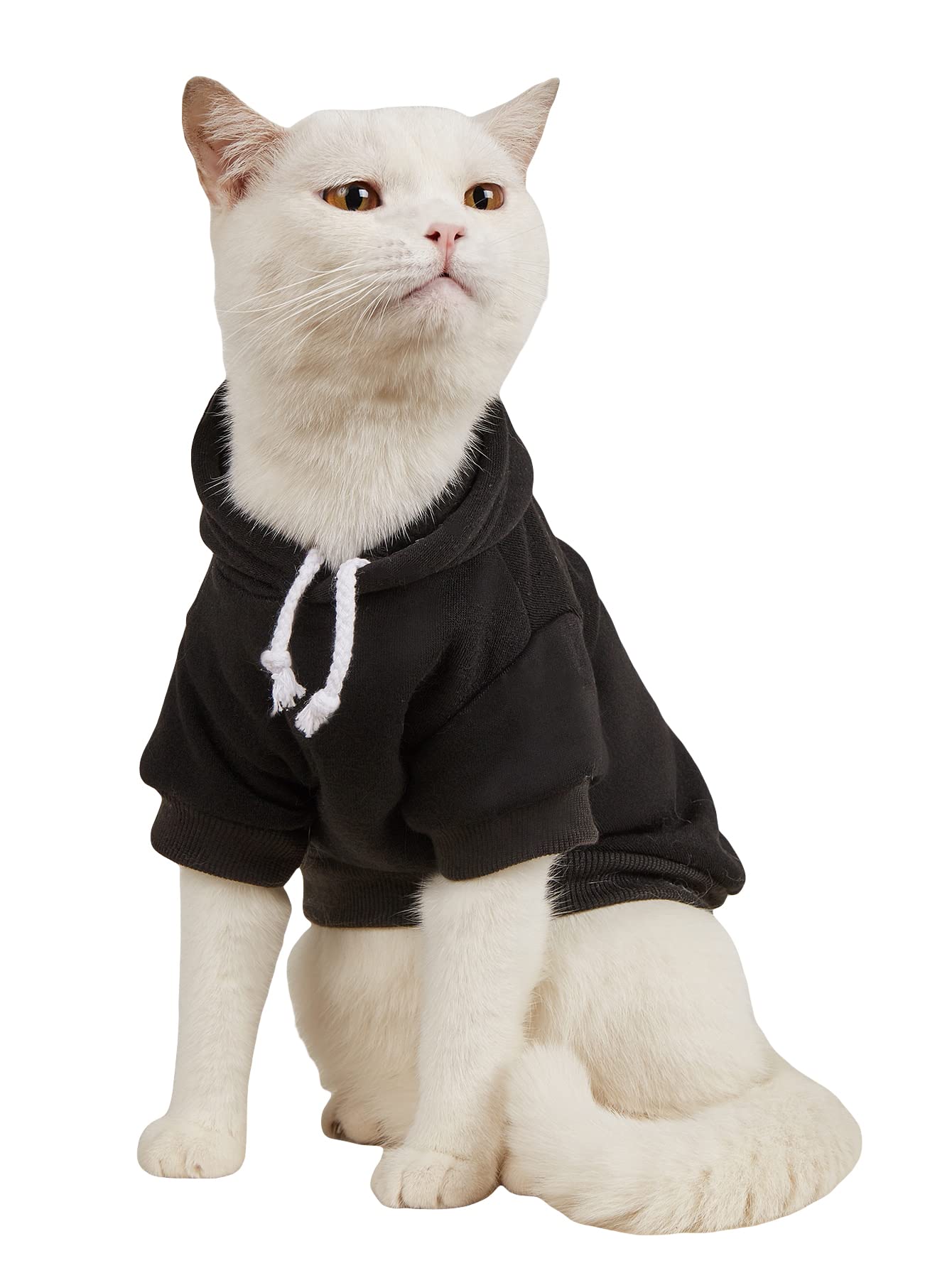 QWINEE sudadera básica para perro, frente visible y ajuste cómodo.