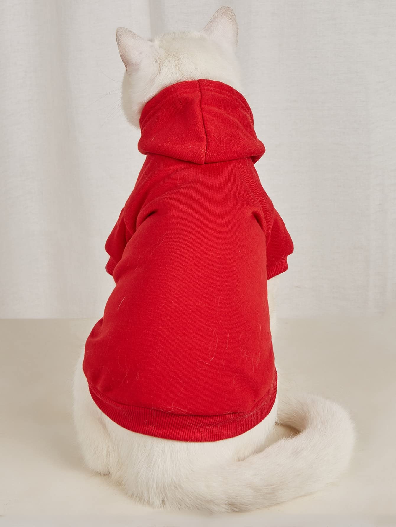 QWINEE sudadera-perro roja dorso, mantiene calor al salir en climas fríos.