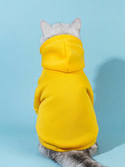 QWINEE sudadera para perro vista trasera, diseño elegante