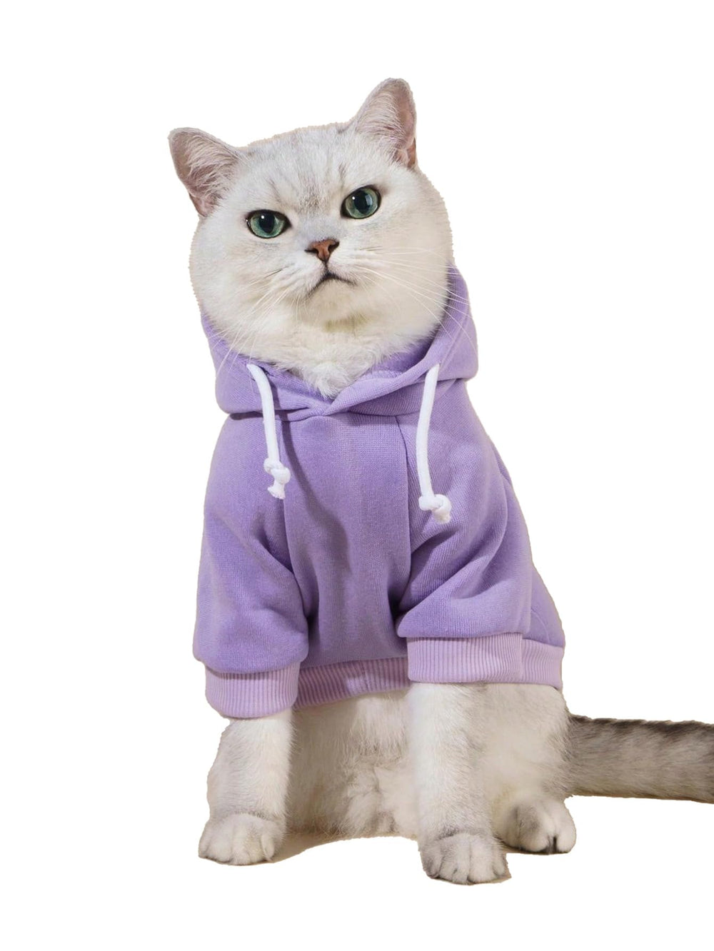QWINEE sudadera perro básico frente, ideal para mantener abrigado durante paseos.