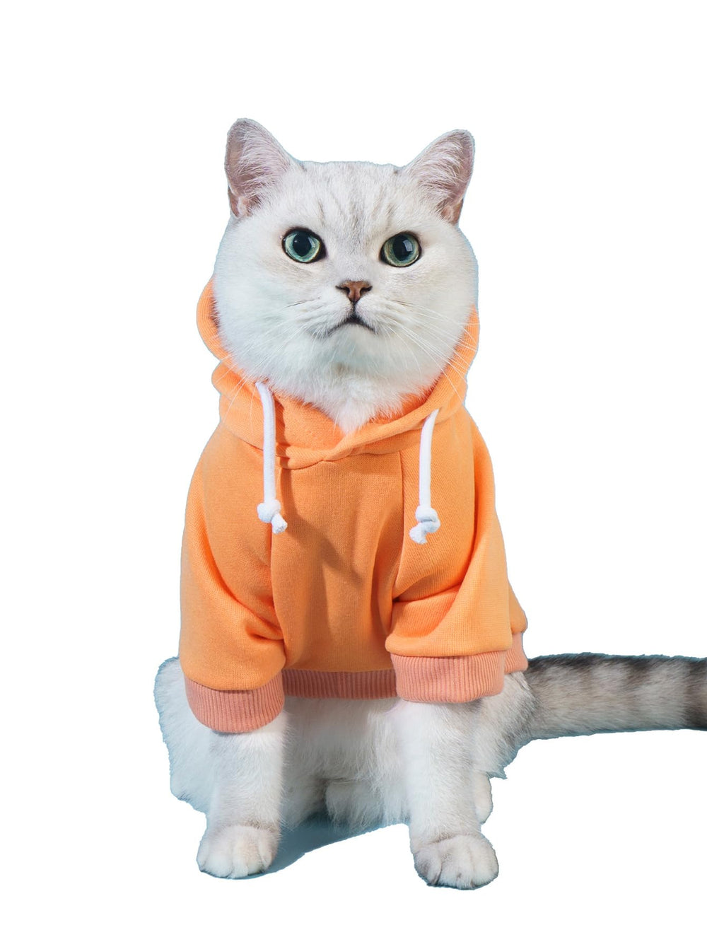 QWINEE sudadera para perro con capucha, vista frontal, ideal para paseos fríos.