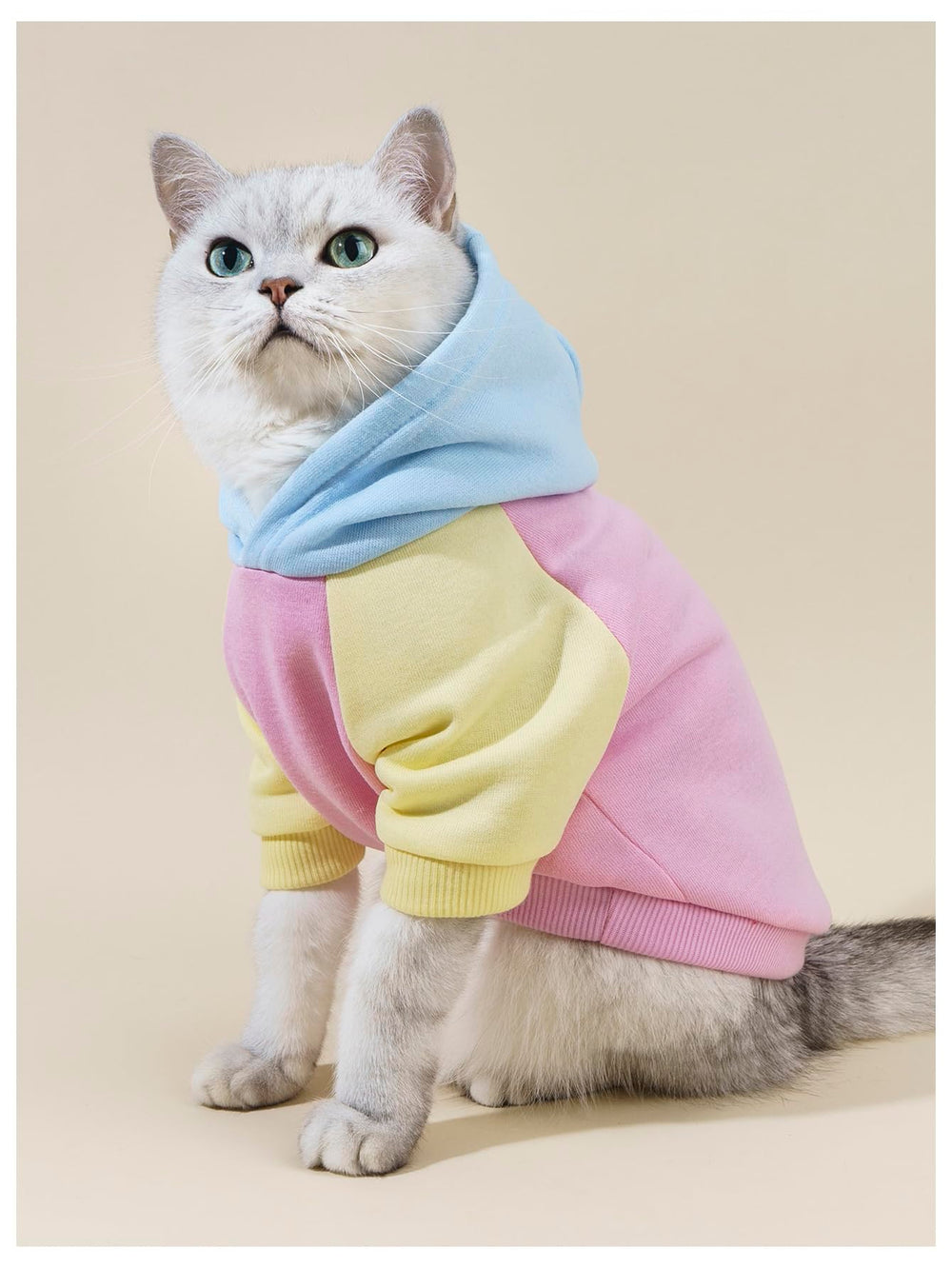 QWINEE prenda para perro, fácil de poner y quitar