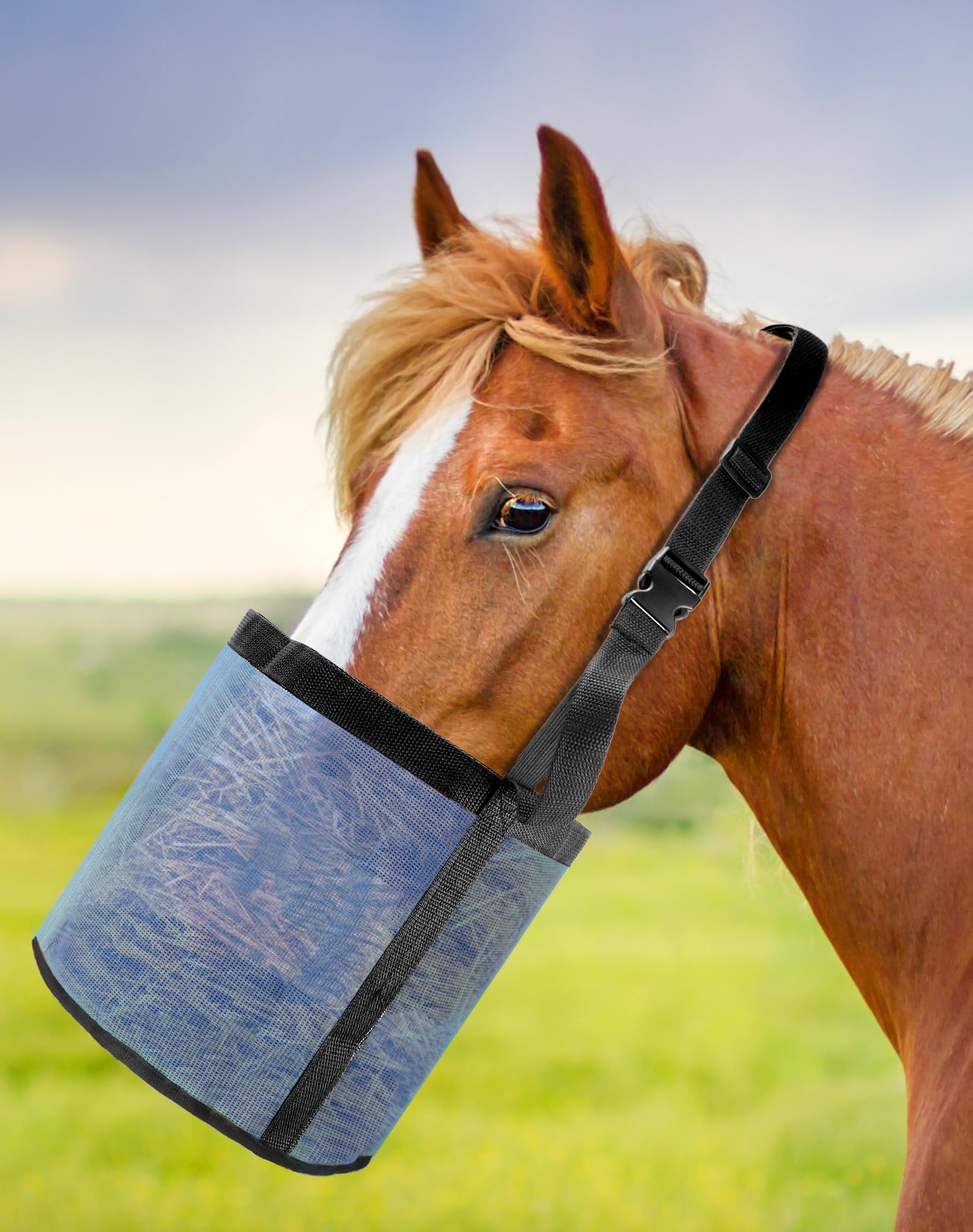 QWORK juego de dos bolsas para alimentación individual de caballos.