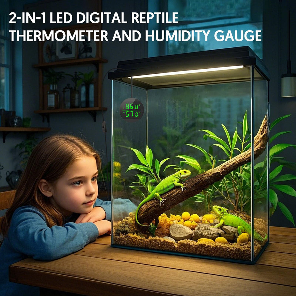 QZQ pantalla LED digital facilita lecturas rápidas de temperatura y humedad.