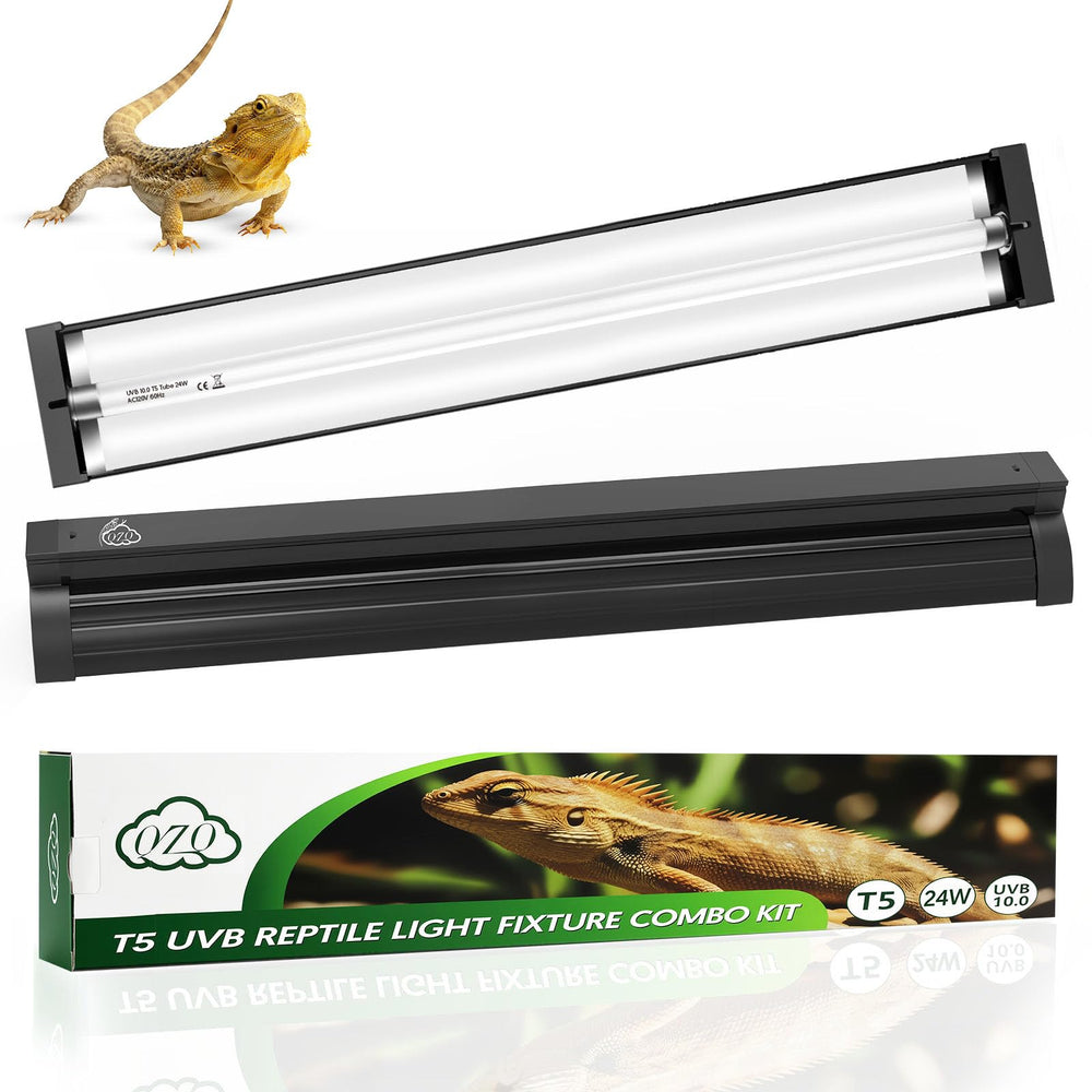 Lámpara QZQ T5 UVB para desierto ilumina el terrario y favorece el crecimiento saludable.