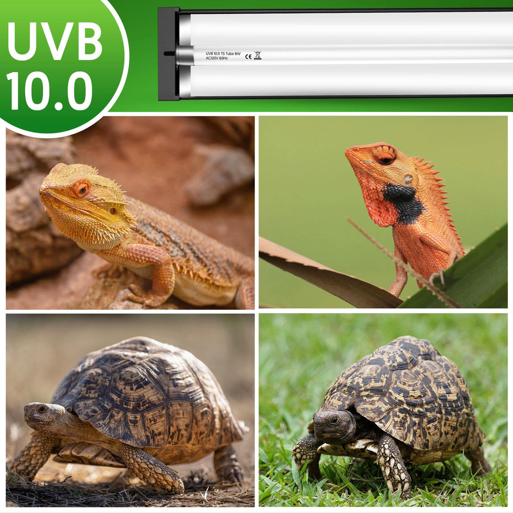 QZQ T5 UVB para reptiles apoya absorción de calcio