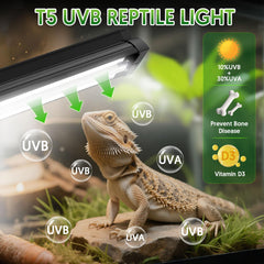 Reflector aleado de QZQ T5 UVB distribuye la luz para reptiles.