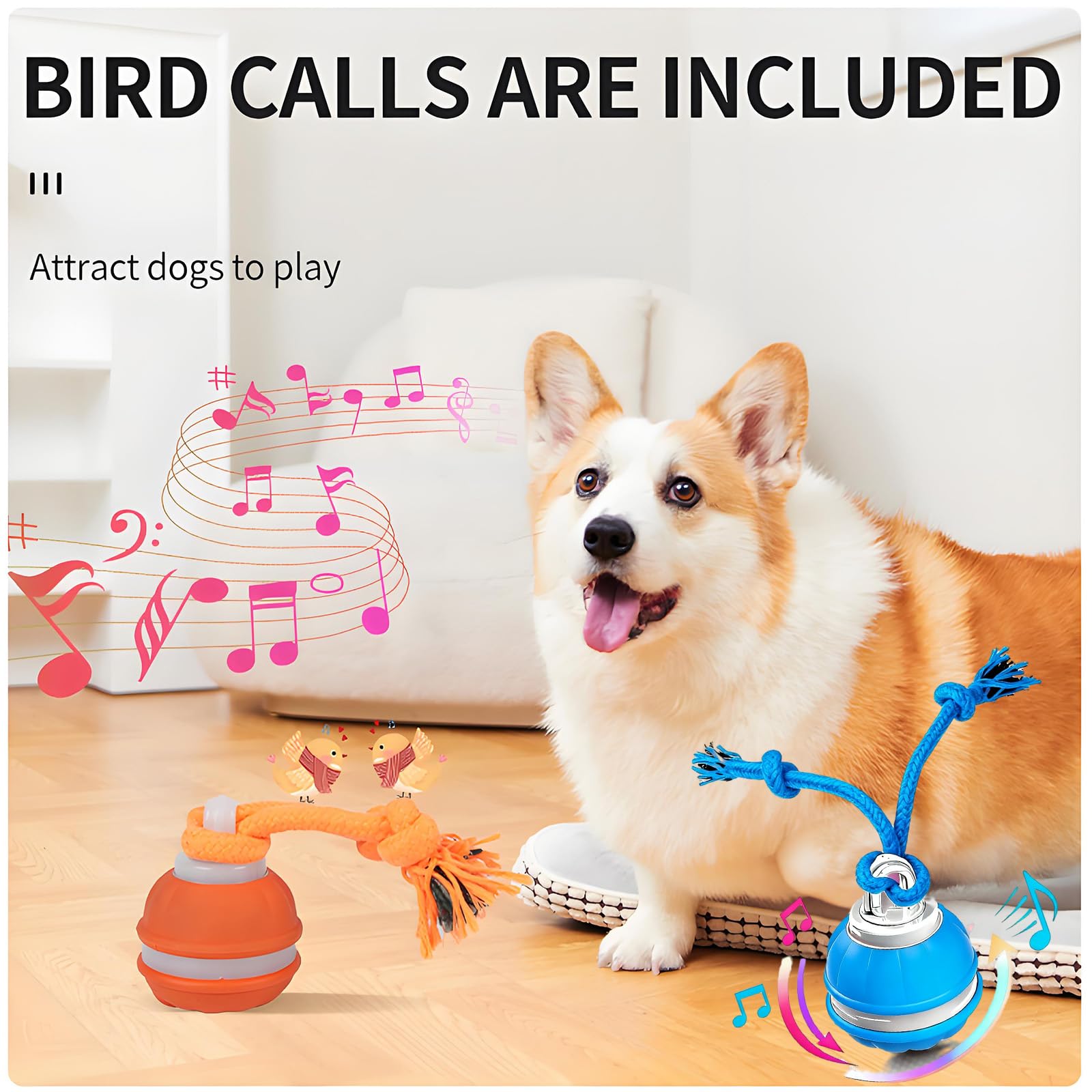 Juego autónomo para perros pequeños con la bola de QZTRGDW